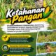 Mendukung Program Ketahanan Pangan, Bhabinkamtibmas Monitoring Pertumbuhan Jagung