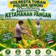 Bhabinkamtibmas Polsek Senori Pantau Tanaman Jagung Warga Desa Sendang Guna Dukung Ketahanan Pangan Nasional