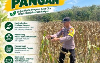 Dukung Ketahanan Pangan, Polsek Bangilan Sambang Petani Jagung