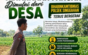 Anggota Polsek Singgahan Polresta Tuban Turun Cek Tanaman jagung Warga di Desa Tingkis