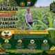 Dukung Ketahanan Pangan Nasional, Polsek Bangilan Aktif Dampingi Petani Jagung