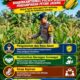 Mendukung Program Ketahanan Pangan, Bhabinkamtibmas Monitoring Pertumbuhan Jagung
