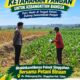 Anggota Polsek Singgahan Polresta Tuban Turun Cek Tanaman jagung Warga di Desa Mulyoagung
