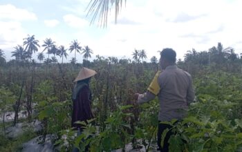 Bhabinkamtibmas Desa Kesik Cek Lahan Ketahanan Pangan Bergizi, Dukung Kemandirian Pangan Warga